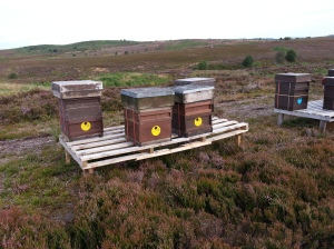 Dale Farm bees on holiday